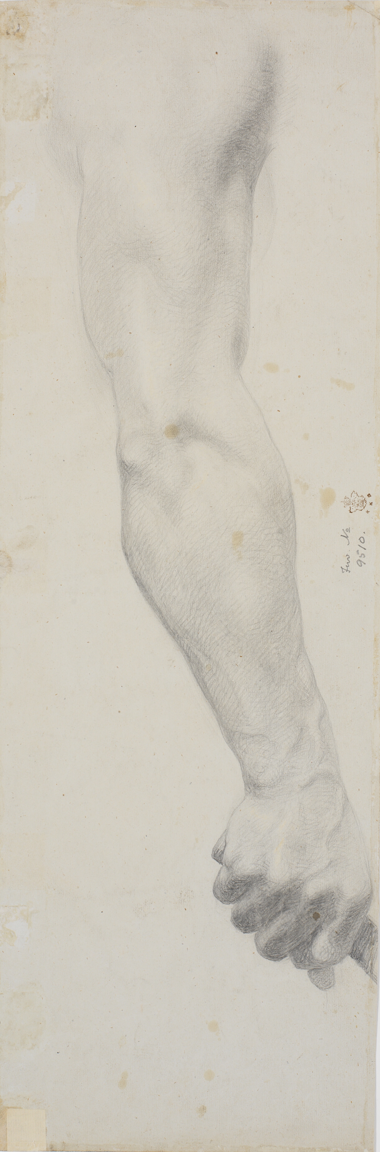 Studie af mandlig højre arm